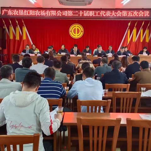 红阳农场有限公司召开第二十届五次职工代表会议暨第十八届四次工会会员代表大会