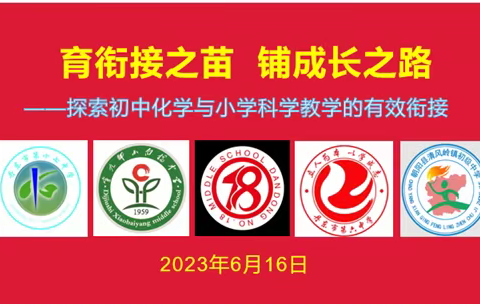 育衔接之苗，铺成长之路