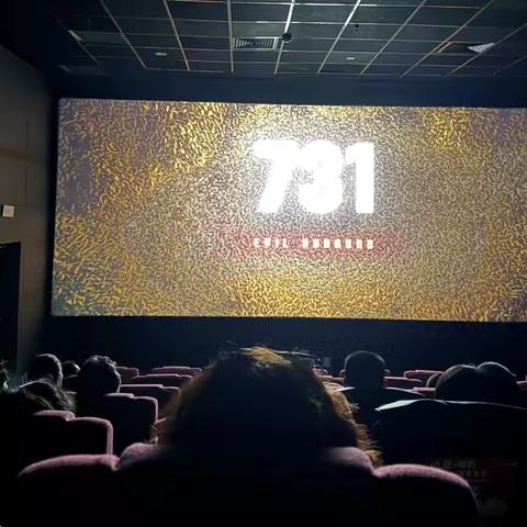 北徐、北徐花园社区联合“双报到”单位开展爱国主题观影活动