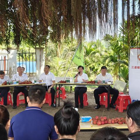 【学习贯彻党的二十届三中全会精神】林洪冰在三道镇三弓村宣讲党的二十届三中全会精神