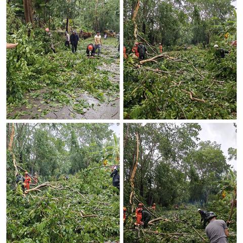 警报不解除 思想不松懈丨三道镇全力以赴打好防御台风“摩羯”“阻击战”﻿