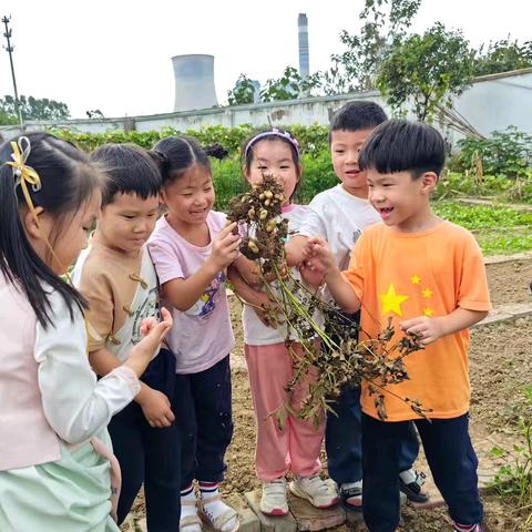 【班本课程】与秋相遇，好事“花生”——大班课程故事