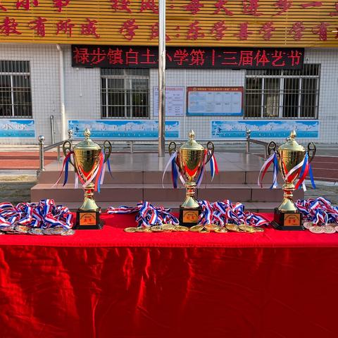 绽放青春，艺彩纷呈 高要区禄步镇白土小学 第十三届﻿体艺节