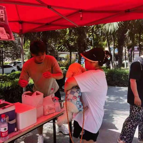 主动接种疫苗，共享健康生活——丰盛园社区开展犬类疫苗接种及文明养犬宣传工作