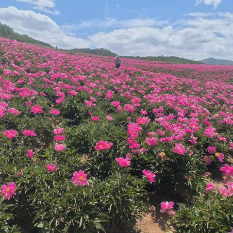 千里烟缘“一堂课”牵——蓟、古两地教学交流略记