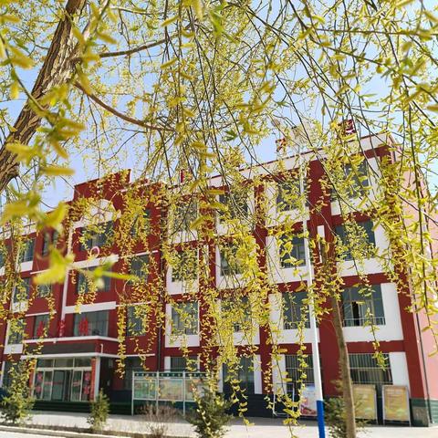 最美人间四月天，培根育苗耕耘忙一一裴家营一贯制学校第九周活动掠影