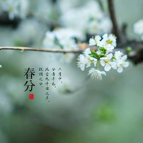 知时节，晓春分