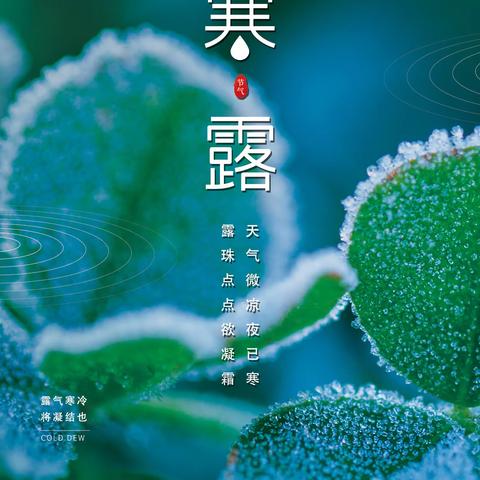 河南康盈环保科技有限公司七里营分公司10月8日工作汇报