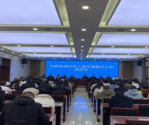紧抓环境卫生整治，续写乡村振兴新篇章
