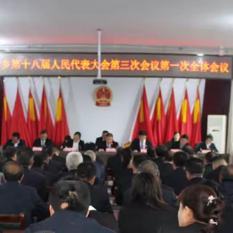 南唐乡第十八届人民代表大会第三次会议胜利召开