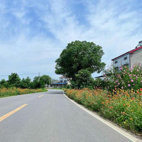 鸭鸭湾村 书记有话说