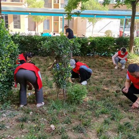 “除草护绿 美化环境”志愿除草活动