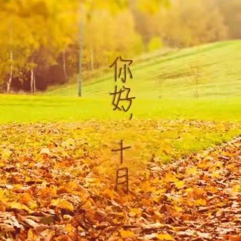 陕西华庭锦阳府物业 ﻿10月份工作简报