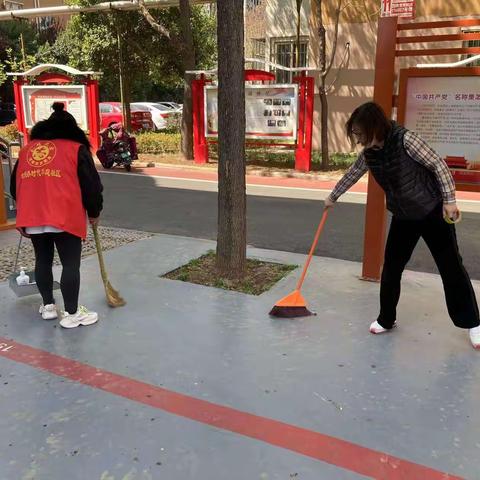 中州路街道：凝聚巾帼力量助推环境焕新