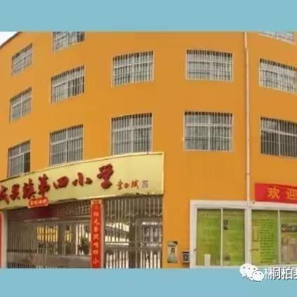 砥砺前行   奋发不怠——桐柏县城关镇第三小学教育集团四小校区2023年暑期校本培训纪实