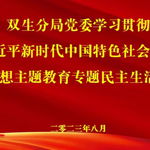 双生分局召开主题教育专题民主生活会