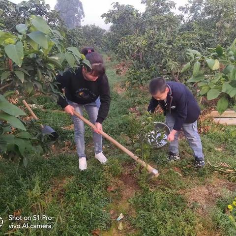 植树正当时 合力添新绿——三苏镇广济小学开展植树节活动