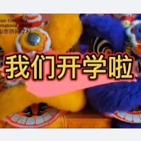 🌟🌟开学有你，热辣滚烫—记协同学校301班2024年2月生活