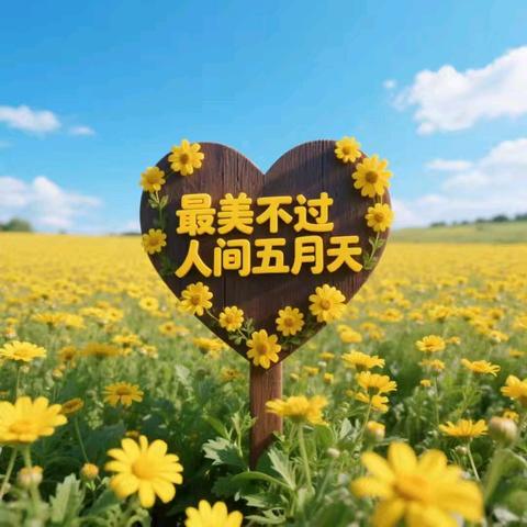 携手同行，筑成长梦 ——记协同学校401班2025年5月的生活