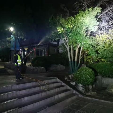 寒冬中的温暖守护 ——千佛山风景名胜区工作部认真做好植物冬季防寒保温工作