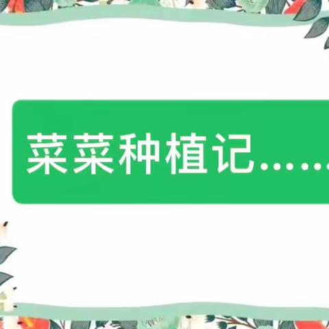菜菜种植记