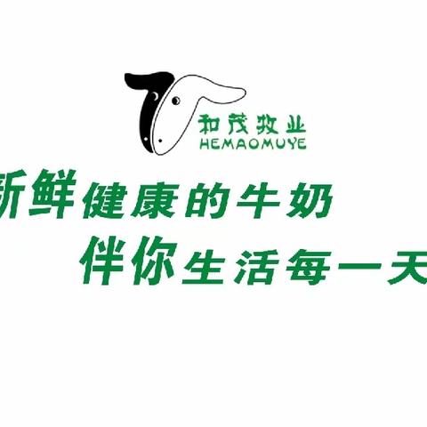 巴彦淖尔市和茂牧业有限公司对外出售犊牛