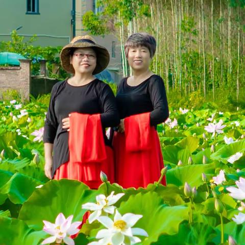 莲花舞蹈队2023.7.9活动