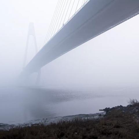 我行走在浓浓的雾中……