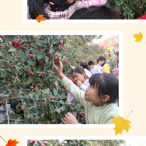 自制冰糖葫芦 品味劳动乐趣一一南早现小学劳动实践活动