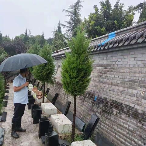 防汛工作，以雨为令