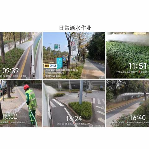 区属道路绿化管养三标段工作汇报 2023.03.08