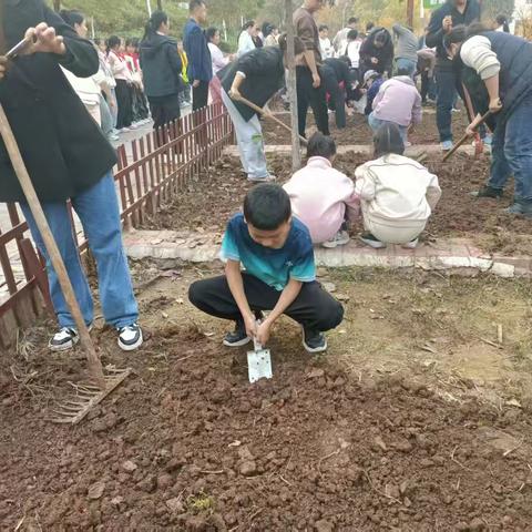 让生命稳稳地萌芽——福佑路小学三（3）班4月劳动教育