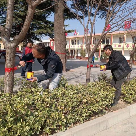 尧禾镇中心小学——植树节活动