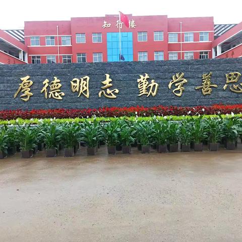 “叠翠传情，绿植凝心”——南左良中学翟海芳校长携领导班子向全体教师献上真诚的祝福