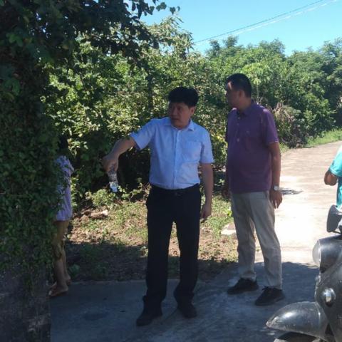 旧州镇委书记李锐到岭南村委会包道村开展历史文物保护等工作