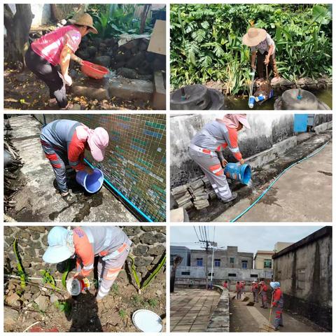 旧州镇8月10日持续开展夏秋季病媒防控百日攻坚行动