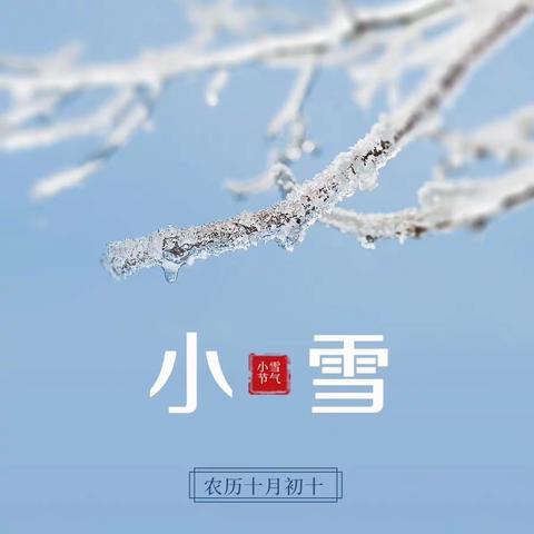 【初冬暖阳万物藏，岁月沉香悦时光】大三班周报（11月20日-11月24日）