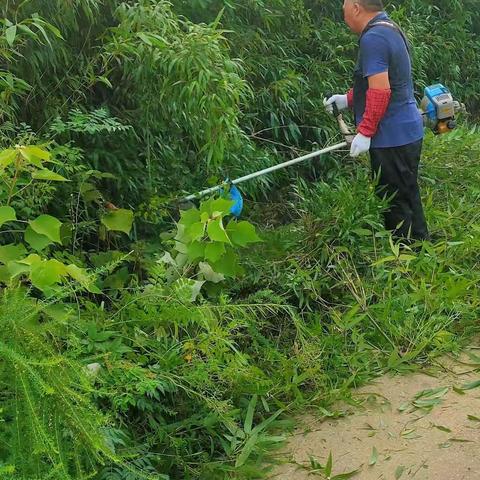 田畈街镇城乡环境综合整治周报