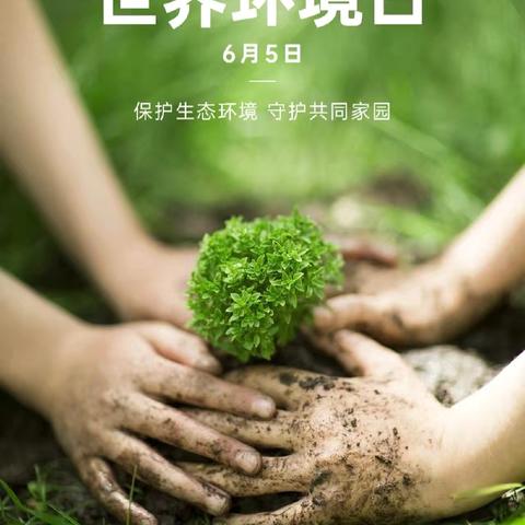 世界环境日，环保在我心——青县金牛镇石庄子小学“世界环境日”主题活动