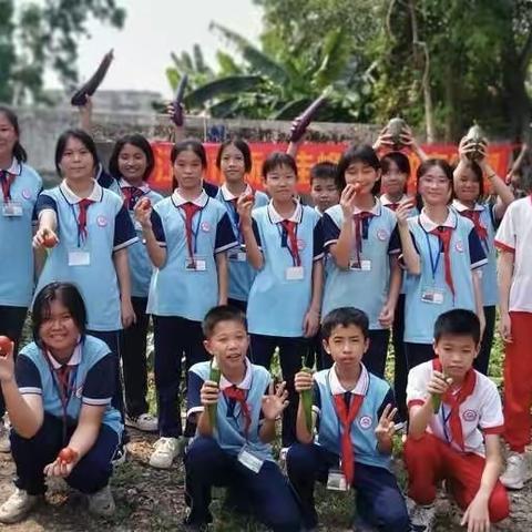 点点汗珠有收获  小小天地见真意 ——新会圭峰小学教育集团（台山市白沙镇中心小学）“我劳动  我快乐”劳动教育活动