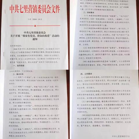 强党建固根基 赋能乡村振兴 ——七里营镇开展“我家有党员 群众向我看”活动