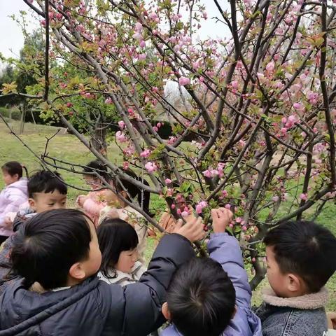 “找春天，记春游”——鸿昌一幼小二班春游记