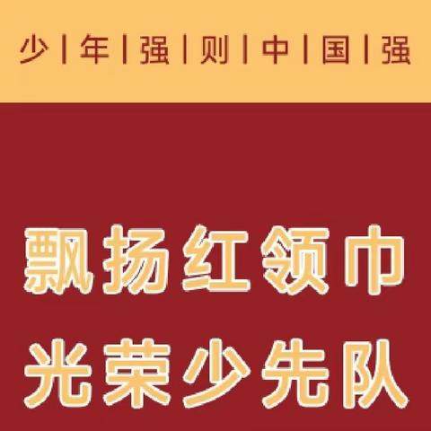 队旗飘飘共成长 ——平桥区第一小学少先队大队委竞选活动