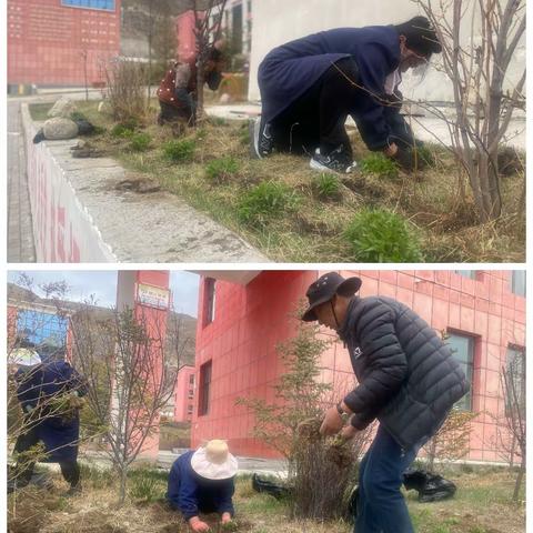 守护一片绿 增添一份美--玉树州第四民族高级中学总务处