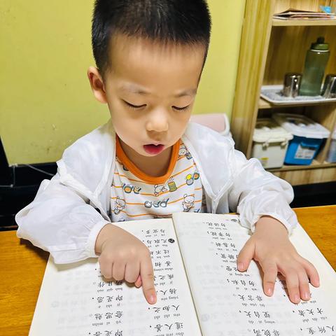 小班7月19学习内容