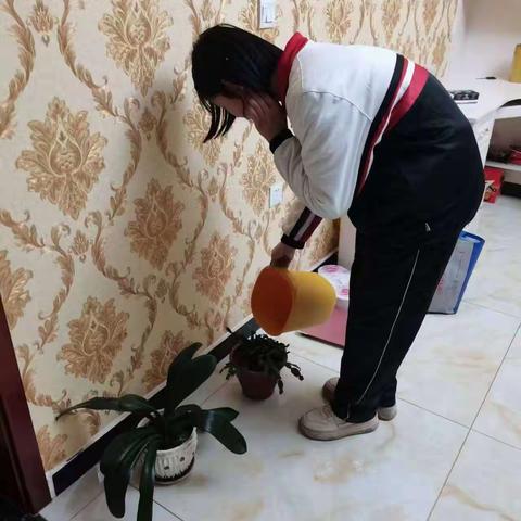 春生万物，种下希望