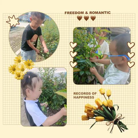 小小中国心❤️满满爱国情——小二班庆国庆主题活动