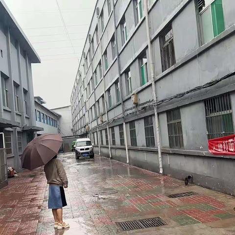 防汛工作，以雨为令