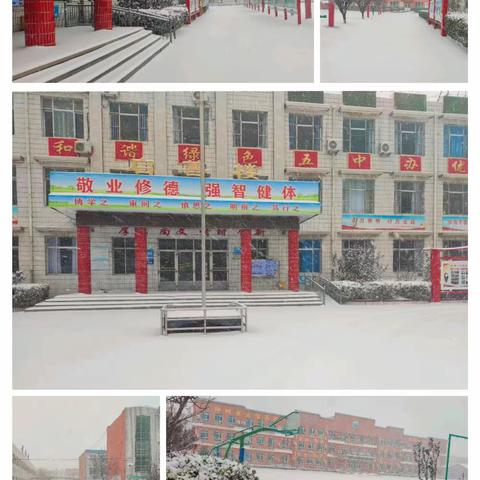 大雪满校园，扫雪护安全––第五中学校园扫雪纪实