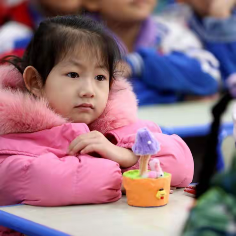 近距离体验“我的”小学生活